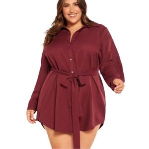 Burgundy Curved Hem Belted Shirt Dress with collars and button front